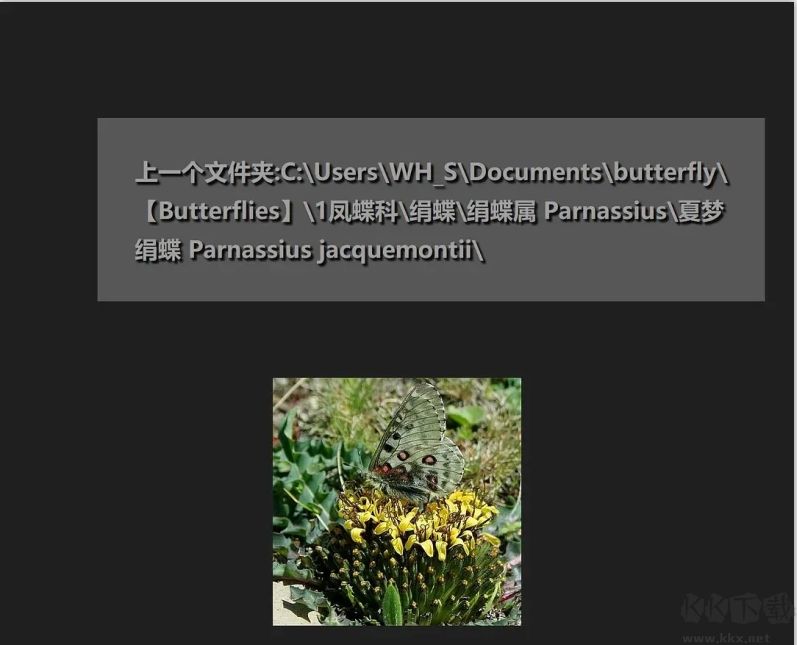 Honeyview(看圖軟件)