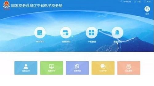 遼寧省電子稅務(wù)局客戶(hù)端