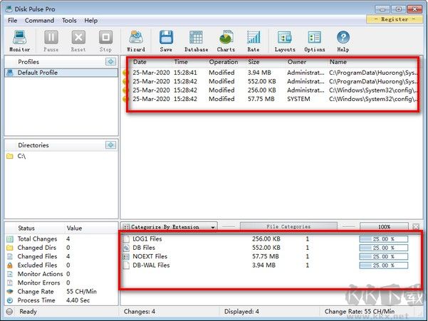 Disk Pulse Pro(磁盤監(jiān)測工具)
