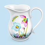 Charles抓包工具 V4.2.7漢化破解版