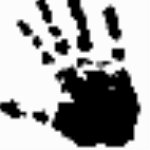 ThisIsMyFile 32位/64位免安裝版