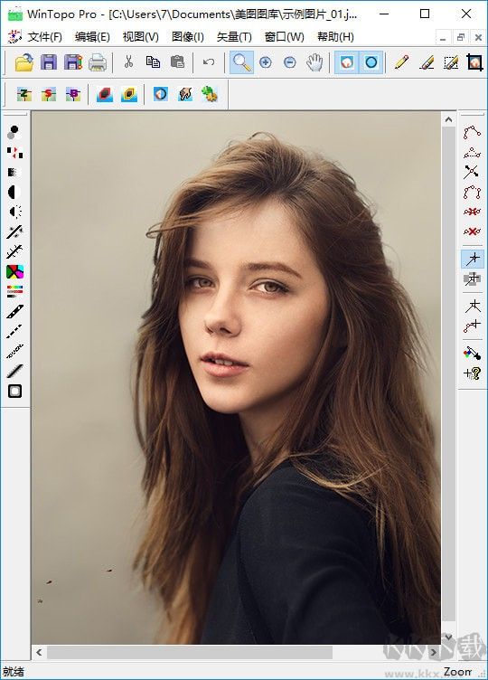 CAD轉(zhuǎn)JPG軟件(WinTopo Pro)