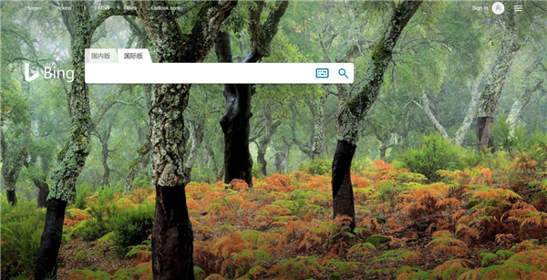 必應(yīng)國際版