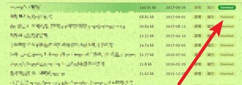 【種子搜索神器】torrentkitty