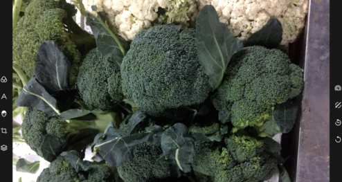 潑辣修圖網(wǎng)頁版怎么用