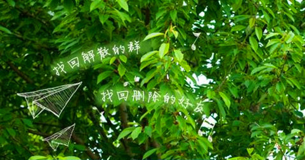 QQ好友找回工具下載