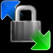 WinSCP v6.12.3 綠色破解版