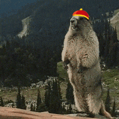 2021新年快樂(lè)表情包大全打包