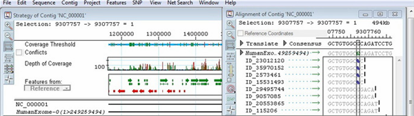 Dnastar(DNA分析軟件)