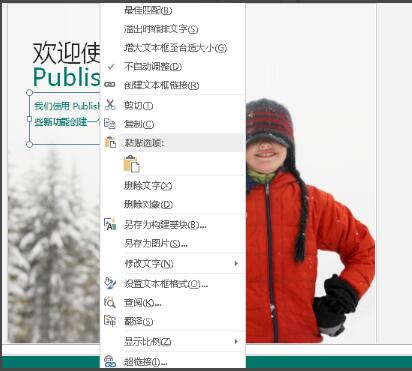 Publisher破解版下載