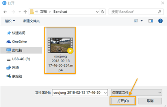 Bandicut(視頻剪輯軟件)