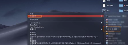IINA播放器Windows版下載