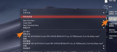 IINA播放器Windows版下載