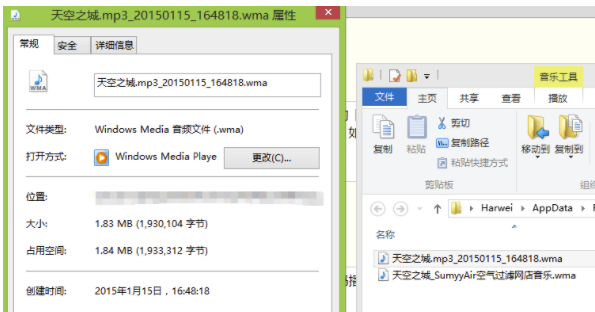 完美解碼綠色版使用說明16