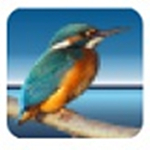 Highlight代碼高亮神器 v3.8綠色漢化版