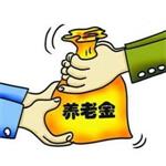 退休養(yǎng)老金計算器(簡單實用) 