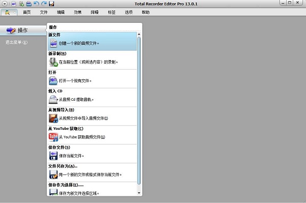 Total Recorder Editor Pro漢化破解版