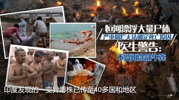 央視影音電腦版下載