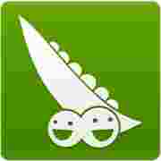 豌豆莢電腦客戶端 2021 官方最新版