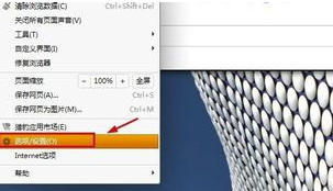 獵豹瀏覽器怎么修改和設置主頁