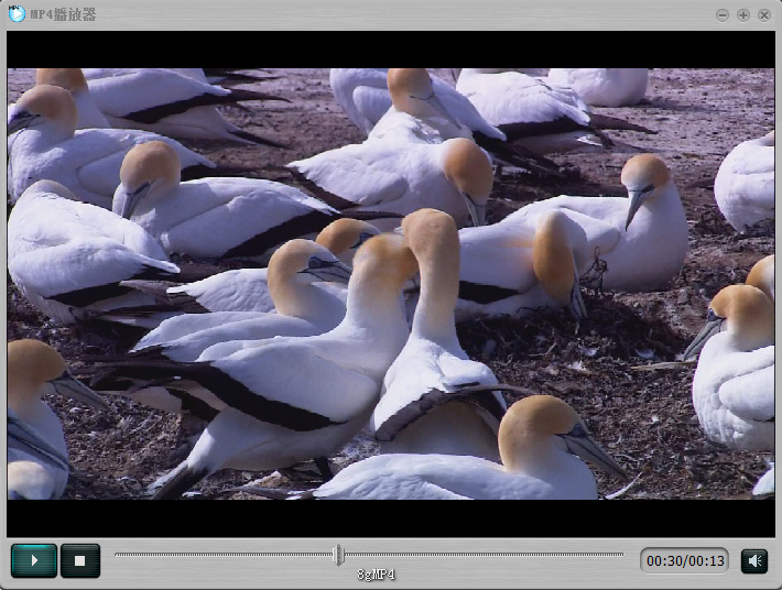 好用的MP4播放器下載