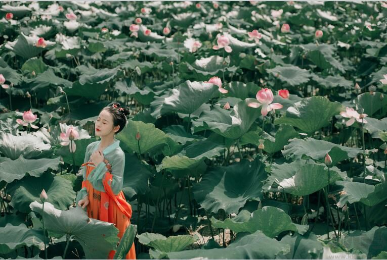 漢服美女壁紙下載工具