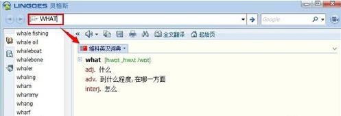 靈格斯詞霸(Lingoes)