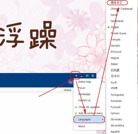 Wise Force Deleter強制刪除文件工具