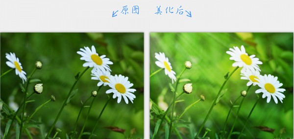 2345看圖王純凈版下載