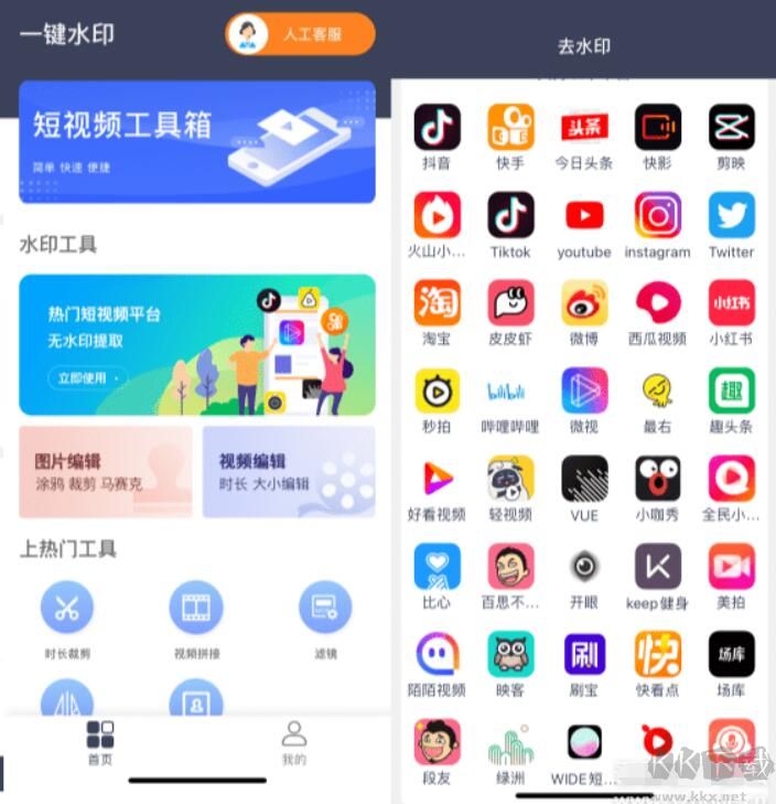 視頻去水印大師
