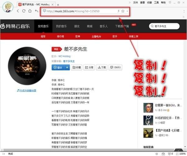 網(wǎng)易云音樂解析器下載器
