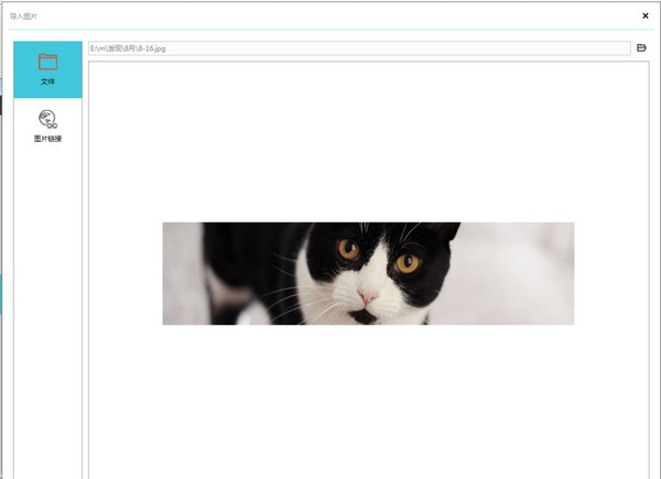 Mockplus客戶端下載