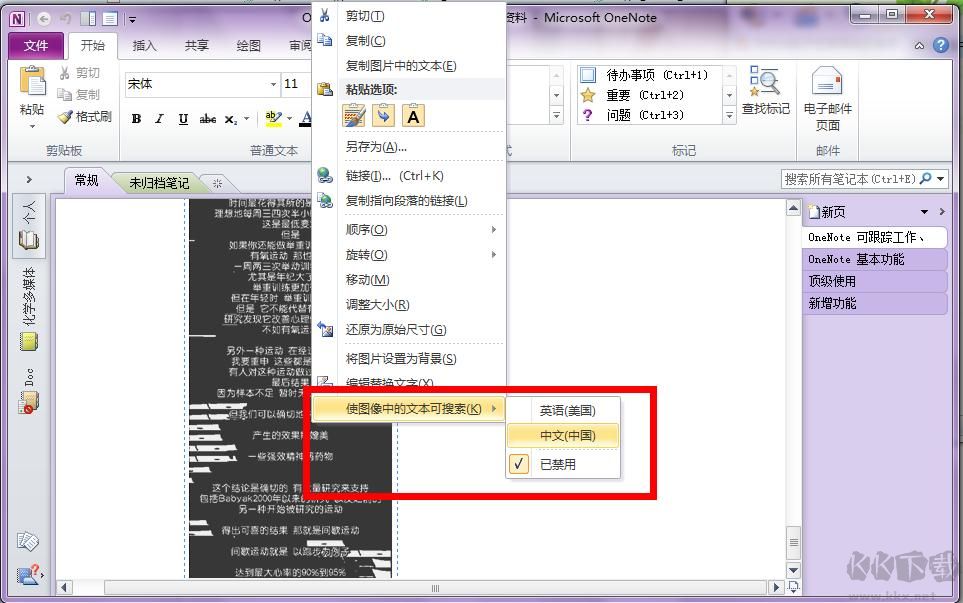 字幕提取軟件(esrXP)
