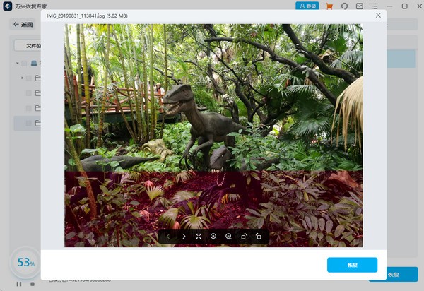 萬(wàn)興恢復(fù)專(zhuān)家