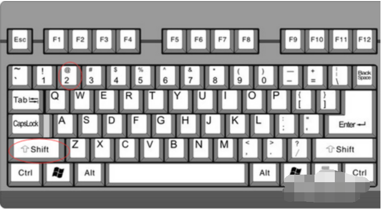 練習(xí)打字的軟件下載