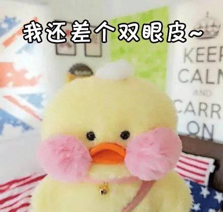 cafemimi玻尿酸鴨表情包