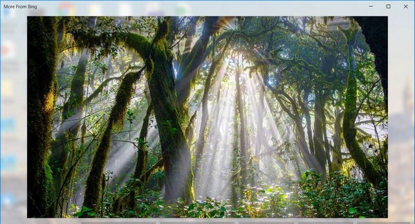 Windows聚焦圖片下載工具