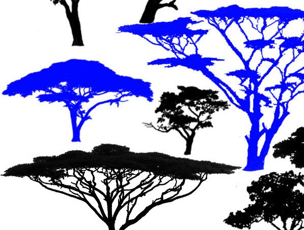 Photoshop樹木剪影筆刷