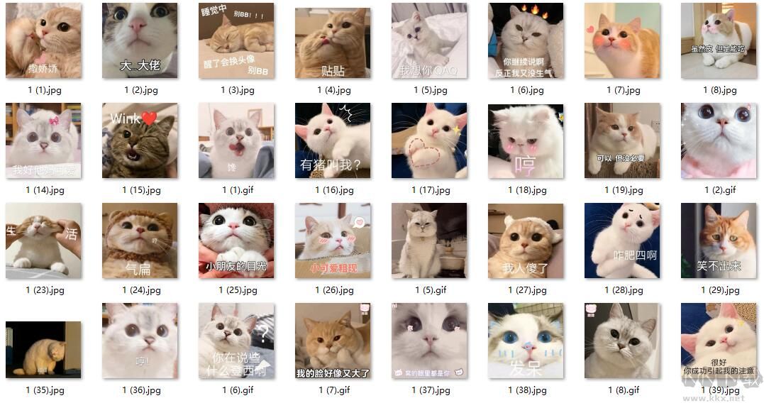 小貓QQ表情包(超可愛(ài))