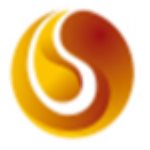 西南證券金點子 V20.20電腦版