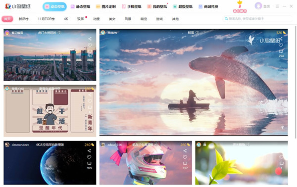小鳥壁紙電腦版