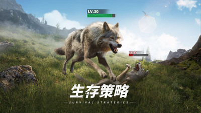 巨獸戰(zhàn)場(chǎng)無限鉆石破解版