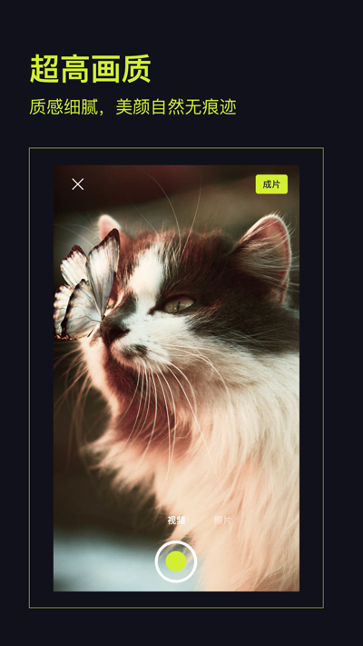 開拍action 官方版