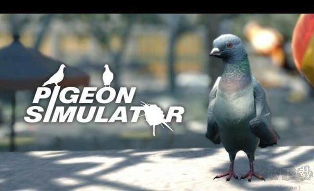 鴿子模擬器