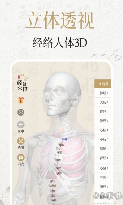 中濟經(jīng)絡(luò)穴位App手機版