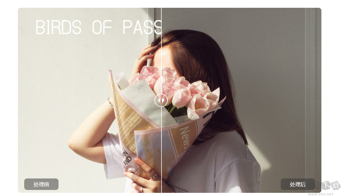 水印云最新版電腦端