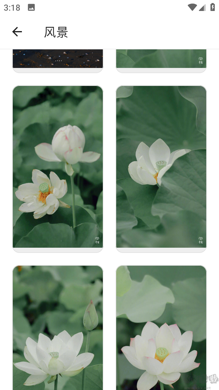 壁紙貼貼高清版