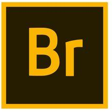 Bridge安裝包下載 