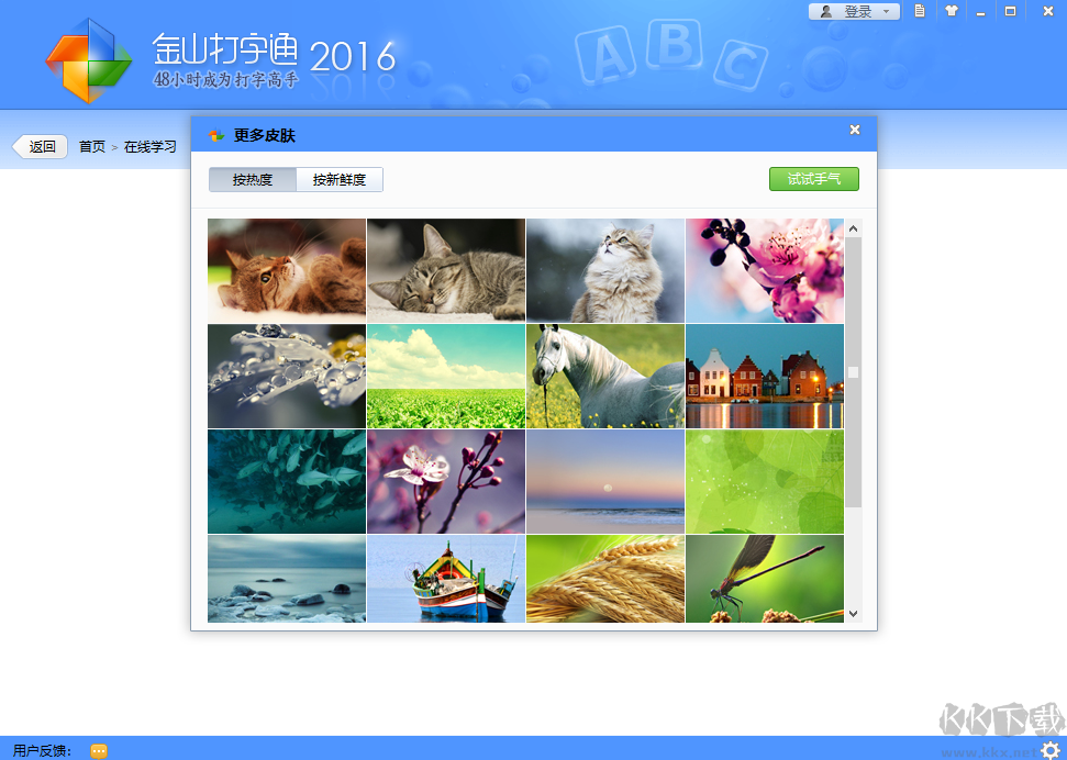 金山打字通2016電腦版