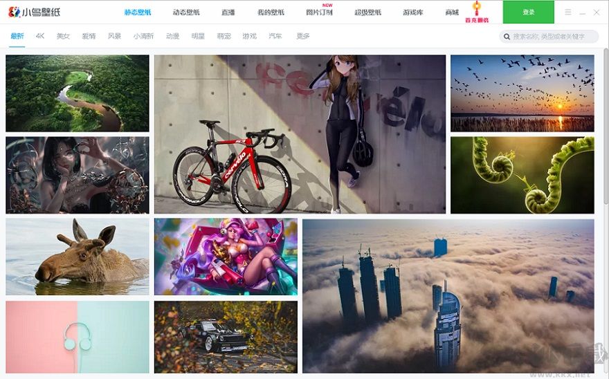 小鳥(niǎo)壁紙動(dòng)態(tài)壁紙官方版